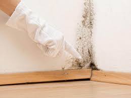 Best Mold Prevention Services  in New Paris, OH